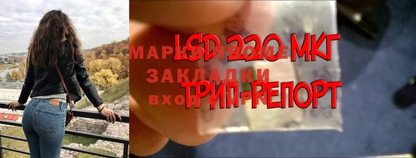 дурь Алексин