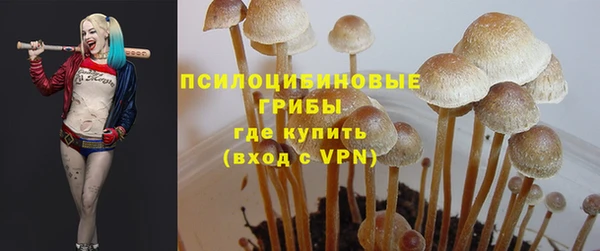 гидра Алексеевка