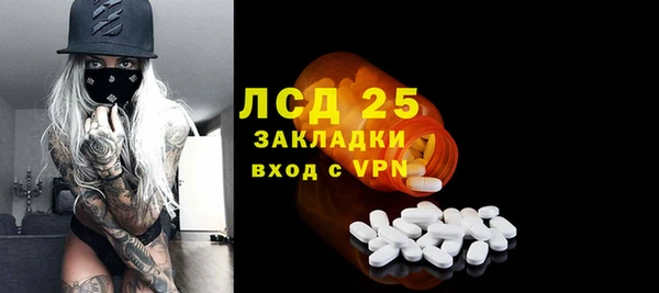 ГАЛЛЮЦИНОГЕННЫЕ ГРИБЫ Пересвет